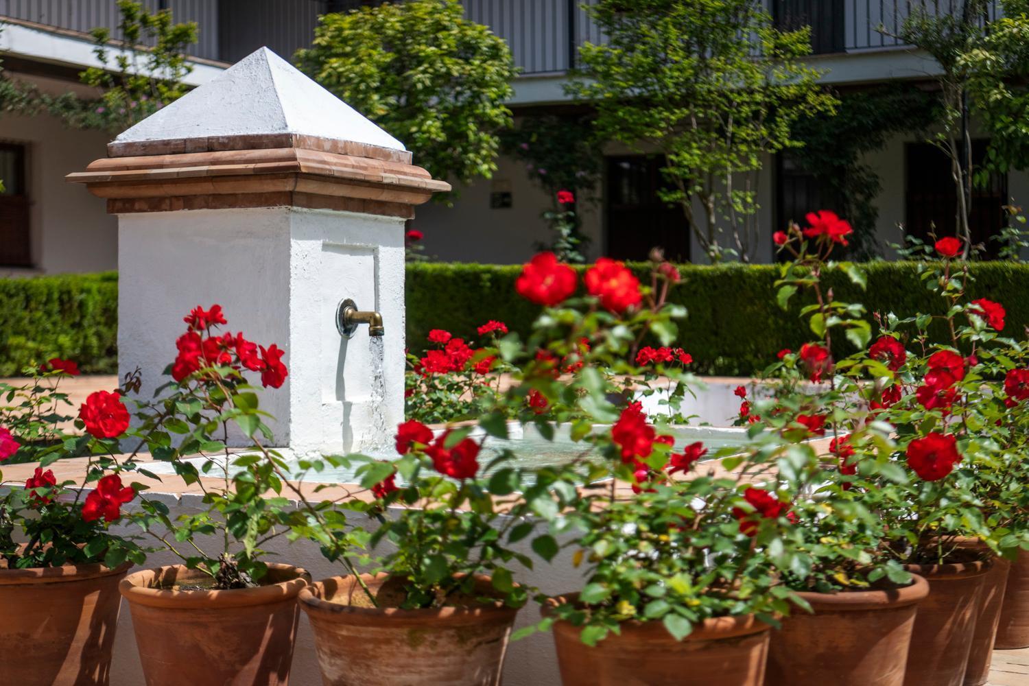 Magno Apartments San Laureano - Private Parking Included Севілья Екстер'єр фото